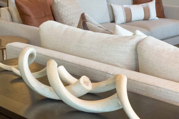 Antler decor