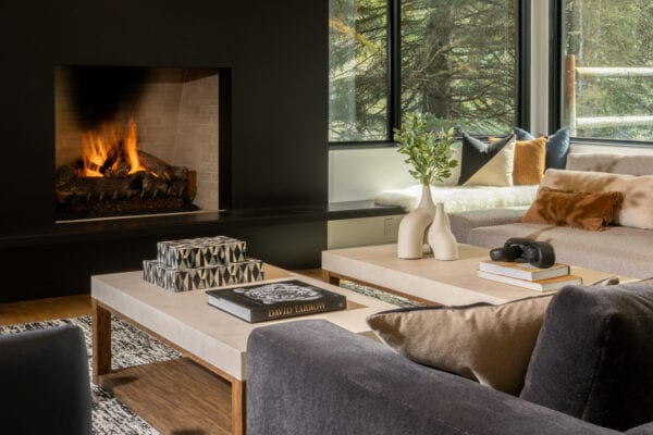 Living room area with fireplace